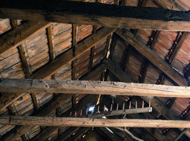 Attic with mold on rafters
