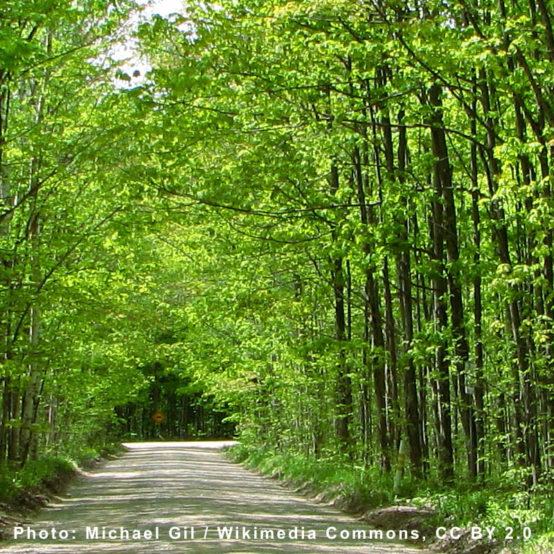 Simcoe, On Simcoe, On